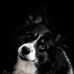 Ryan Sheff - Facebook