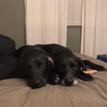 Ryan Showers - @showersryan - Instagram