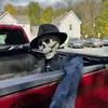 Ryan Shumaker - @theshuguy - TikTok