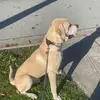 ryansidhu7961 - @ryansidhu7961 - TikTok