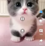 Ryan Silcox - Facebook