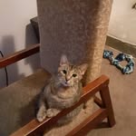Ryan Silvey - @ryan.silvey.90 - Instagram