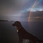 Ryan Simonson - @rsimo555 - Instagram