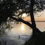 Ryan Simonson - @ryrysimo - Instagram