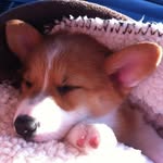 Ryan Simonson - @crazylegzrs - Instagram