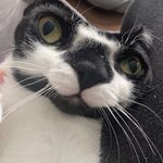 Ryan skidmore - @grapejuice27 - Instagram