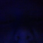Ryan Skidmore - @ryan.skidmore - Instagram
