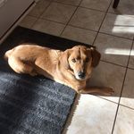 Ryan Skidmore - @ryanskid1 - Instagram