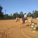 Ryan Skidmore - Facebook