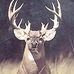Ryan Sleeper - Facebook
