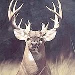 Ryan Sleeper - @ryansleeper - Instagram