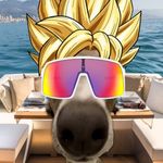 Ryan Sleeper - @flyguy_945 - Instagram