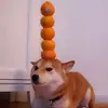 Ryan - @ryan.sleight - TikTok