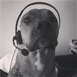 Ryan Slocum - @ryan.and.carl - Instagram