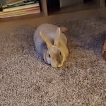 Ryan Slone - @always_5leepy - Instagram
