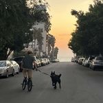 Ryan Slusher - @ryanslusher_bmx - Instagram