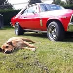 Ryan Smale - @ryan_smale454 - Instagram