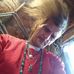 Ryan Smith - Facebook