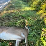Ryan Snodgrass - @_ryan_522 - Instagram