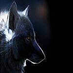 Ryan Snodgrass - @ryan_snodgrass__ - Instagram