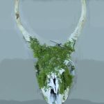 Ryan Snowden - @rt.art95 - Instagram