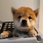 Ryan Soong - Facebook