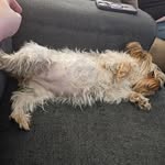 Alex Ryan Sorensen - @69yoman81 - Instagram