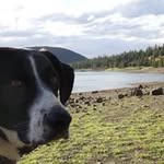 Kade Ryan Sowell - @kadesowell - Instagram