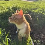 Ryan Spann - Facebook