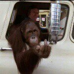 Ryan Speer - @speer.ryan - Instagram