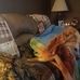 Ryan Speer - Facebook