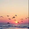 Ryan Speer - @ryan.speer2 - TikTok