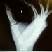 Ryan Speer - Facebook