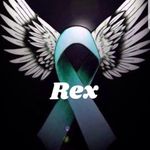 Ryan Speer - @rhspeer08 - Instagram