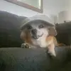 Ryansperry93 - @ryansperry93 - TikTok