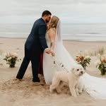 Ryan Spinks - @ryanaspinks - Instagram
