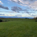 Ryan and Miranda Spivey - @spiveyhomestead - Instagram