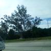 Ryan spring7690 - @ryanspring754690 - TikTok