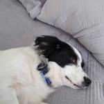 Ryan Stefanides - @ryanstefanides - Instagram