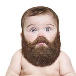 Ryan Steffey - @rsteffey - Instagram