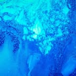 Ryan Steinberg - @ryansteinberg65 - Instagram