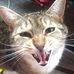 Ryan Stelter - Facebook