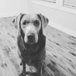 yellowryans - @ryan_stenerson - Instagram