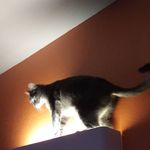Ryan Stephenson - @ryanstephenson320 - Instagram