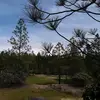 Ryan Stephenson - @ryanstephenson78 - TikTok