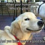Ryan stiffler - @just4mom4429 - Instagram