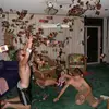 ryanstilley - @ryanstilley - TikTok