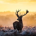 Ryan Stokes - @ryanstokes1212 - Instagram