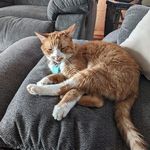 Ryan Stonebraker - @stonebraker797 - Instagram