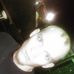 Ryan Storie - Facebook